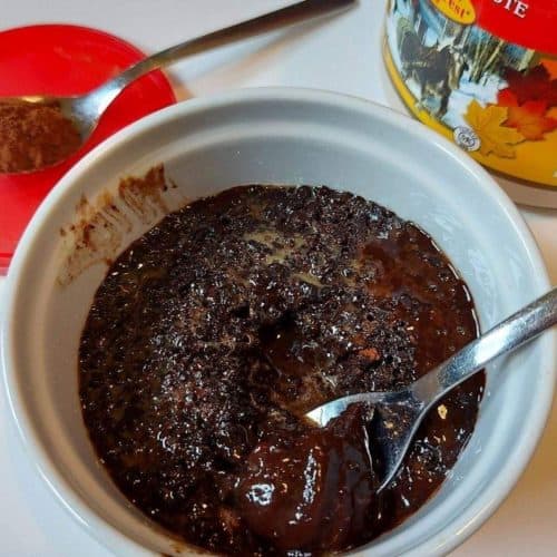 The world can always use more chocolate. This 3-ingredient mug cake is a quick way to satisfy your chocolate cravings. This healthy chocolate mug cake is flourless, refined sugar-free and oil-free too! | keto mug cakes, weight watcher recipes, single serving desserts, healthy snacks, healthy desserts, paleo desserts, gluten-free cake