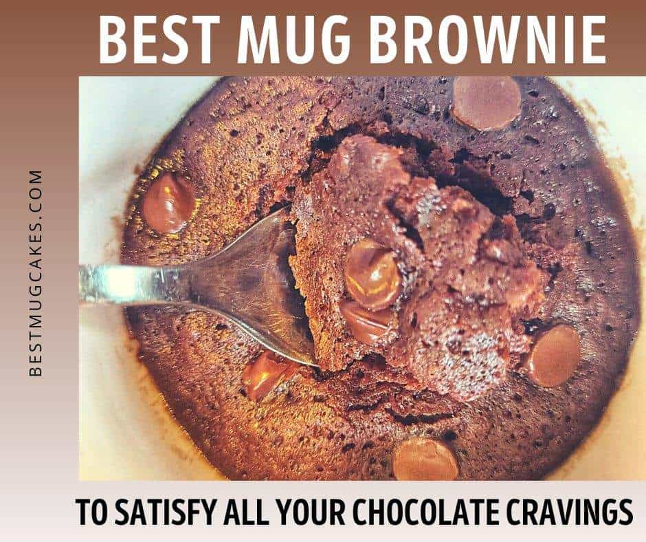 Chocolate mug brownie with chocolate chips